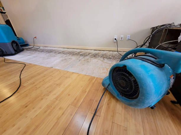 Professional Flood Damage Cleanup technician working in Edwall, WA